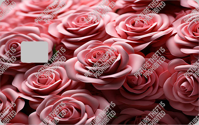 Bank  Card Sticker-BC-2205